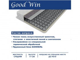 Матрас GoodWin 1600*2000 в Татарске - tatarsk.katalogmebeli.com | фото